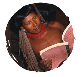 Crossworld missionaries finished translating the entire Bible and brought the Scriptures to the Wai Wai people of Brazil in 2001.